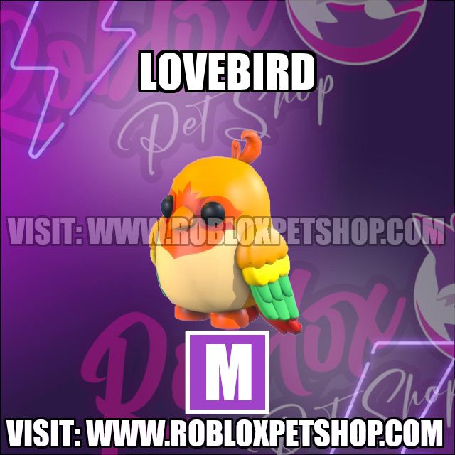 Lovebird MEGA Adopt Me