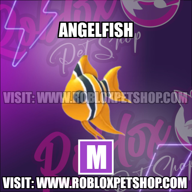 Angelfish MEGA Adopt Me