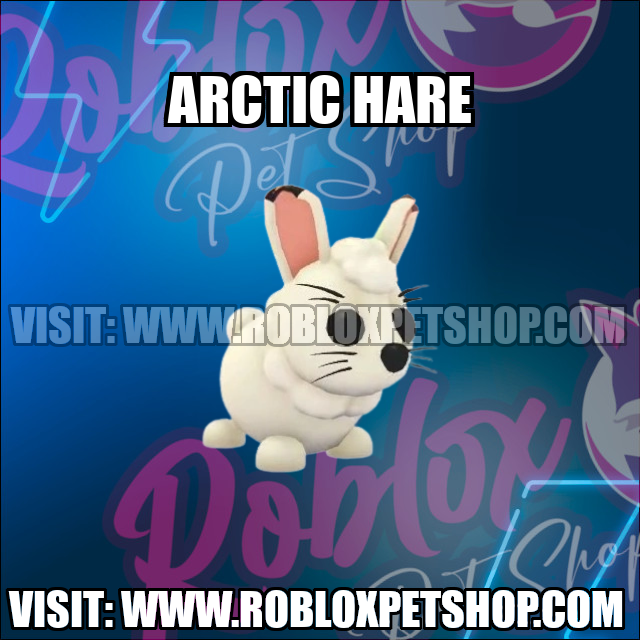 Arctic Hare NO POTION Adopt Me