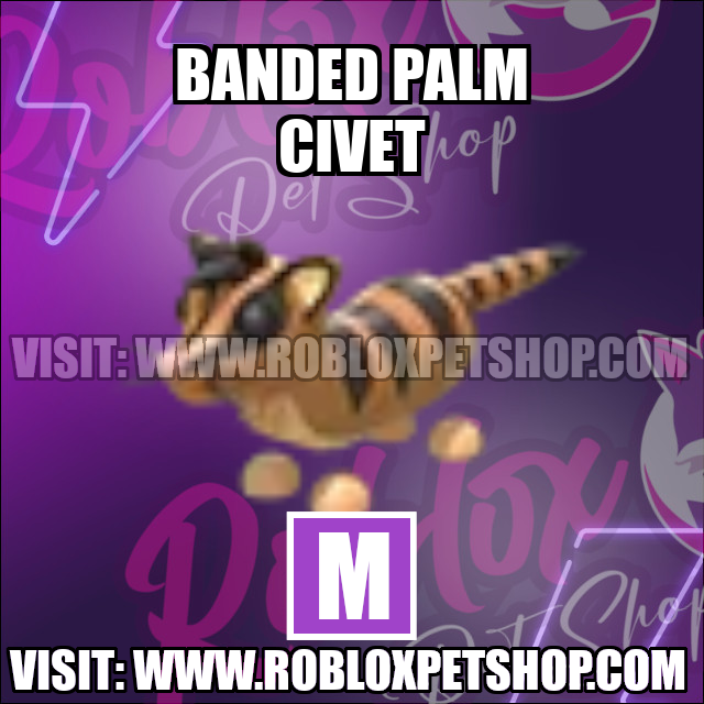 Banded Civet MEGA Adopt Me