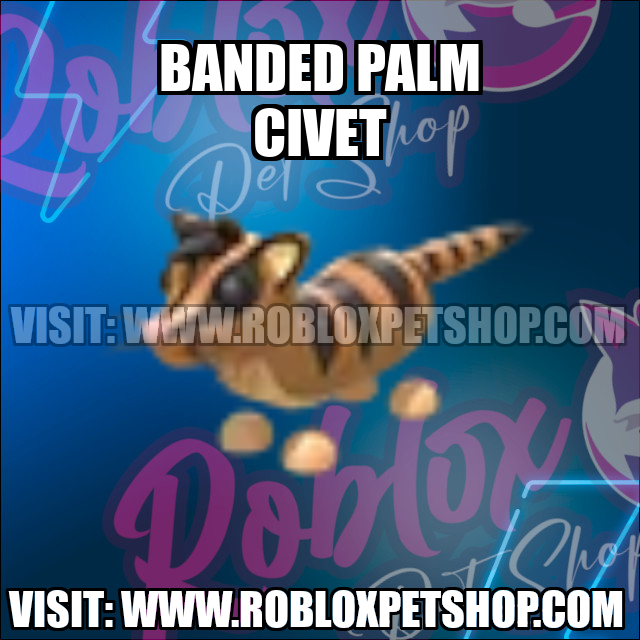 Banded Civet NO POTION Adopt Me