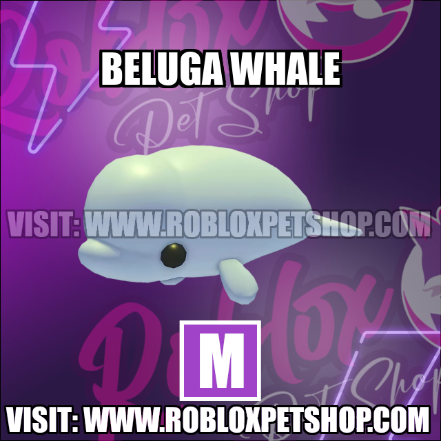 Beluga Whale MEGA Adopt Me