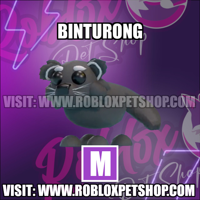 Binturong MEGA Adopt Me