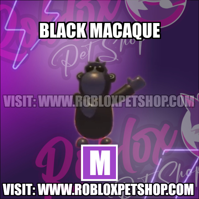 Black Macaque MEGA Adopt Me