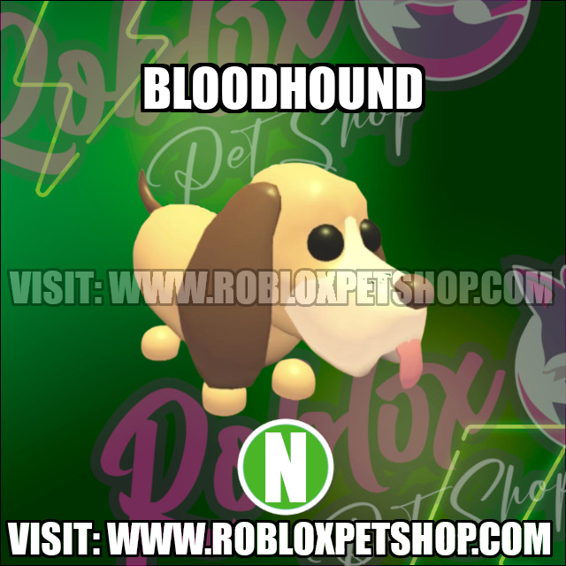 Bloodhound NEON Adopt Me