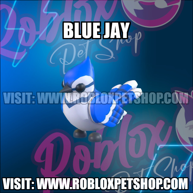 Blue Jay NO POTION Adopt Me