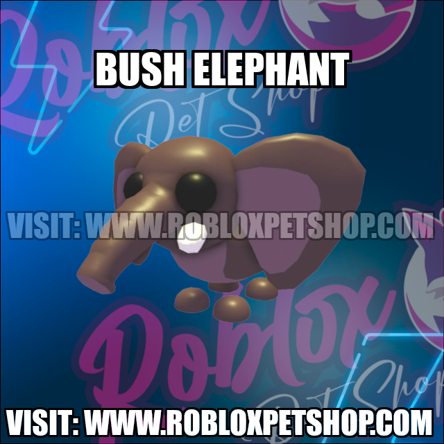 Bush Elephant NO POTION Adopt Me