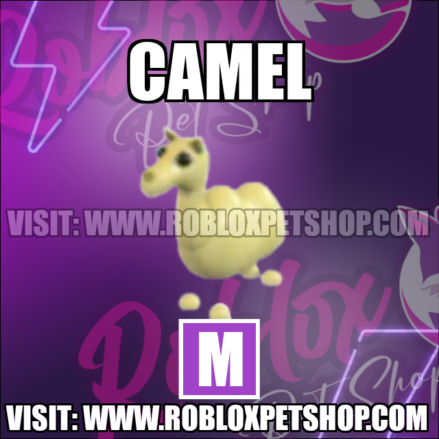 Camel MEGA Adopt Me