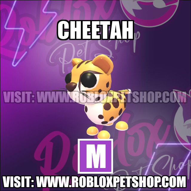 Cheetah MEGA Adopt Me