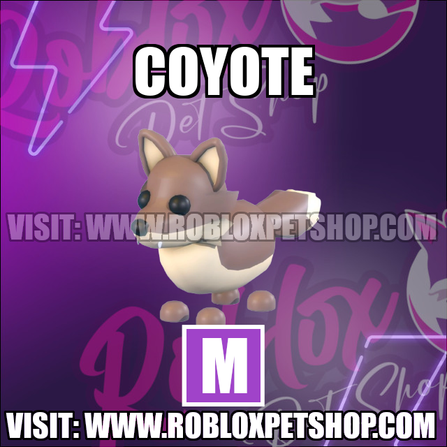 Coyote MEGA Adopt Me