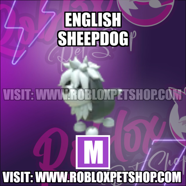 English Sheepdog MEGA Adopt Me