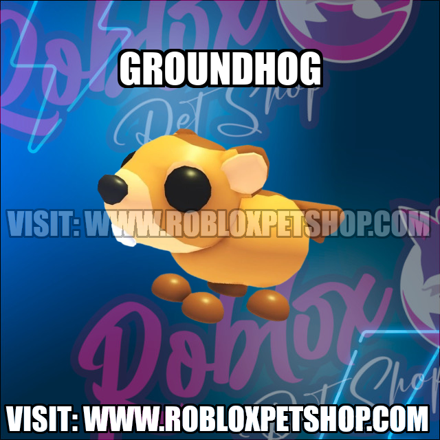 Groundhog NO POTION Adopt Me