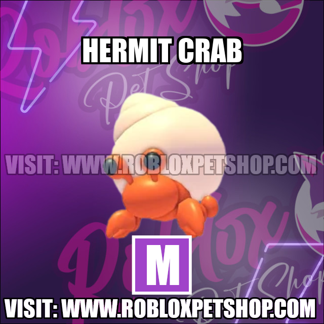 Hermit Crab MEGA Adopt Me