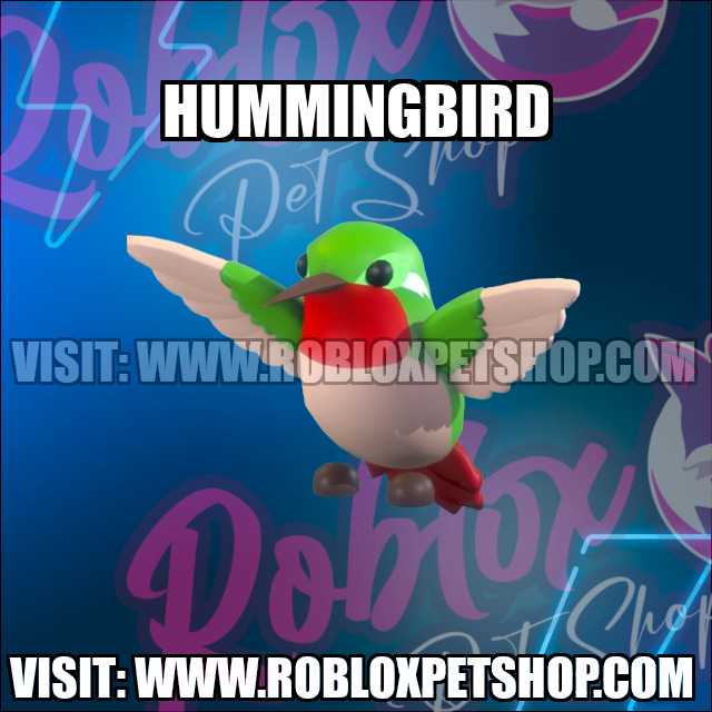 Hummingbird NO POTION Adopt Me