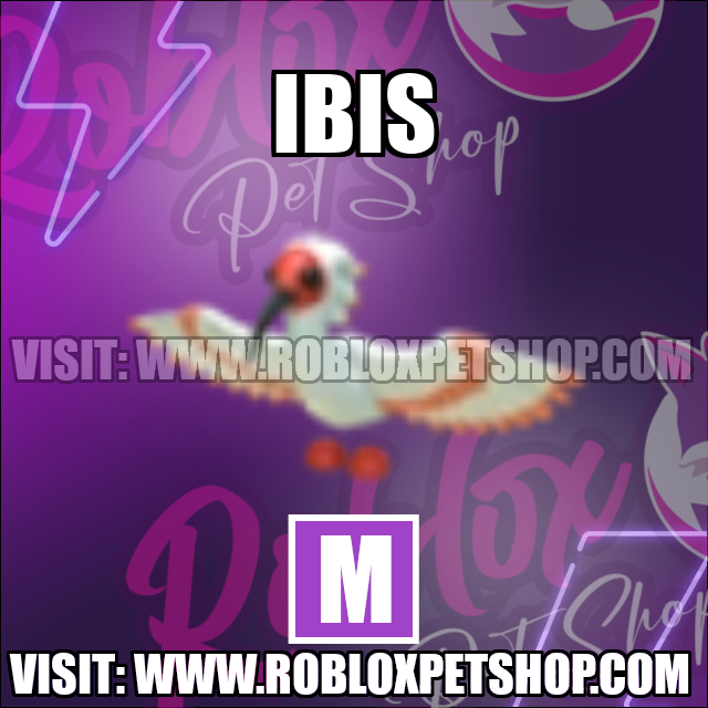 Ibis MEGA Adopt Me