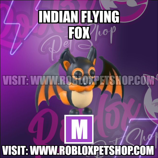 Indian Flying Fox MEGA Adopt Me