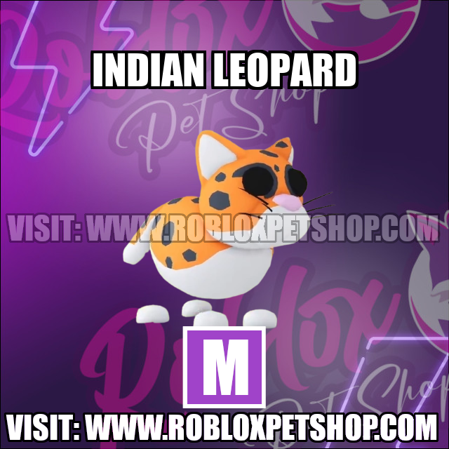 Indian Leopard MEGA Adopt Me