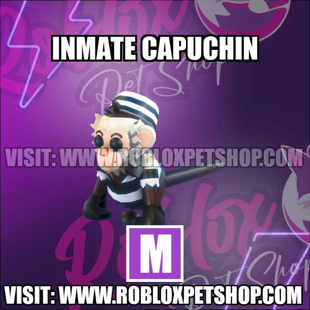 Inmate Capuchin Monkey MEGA Adopt Me