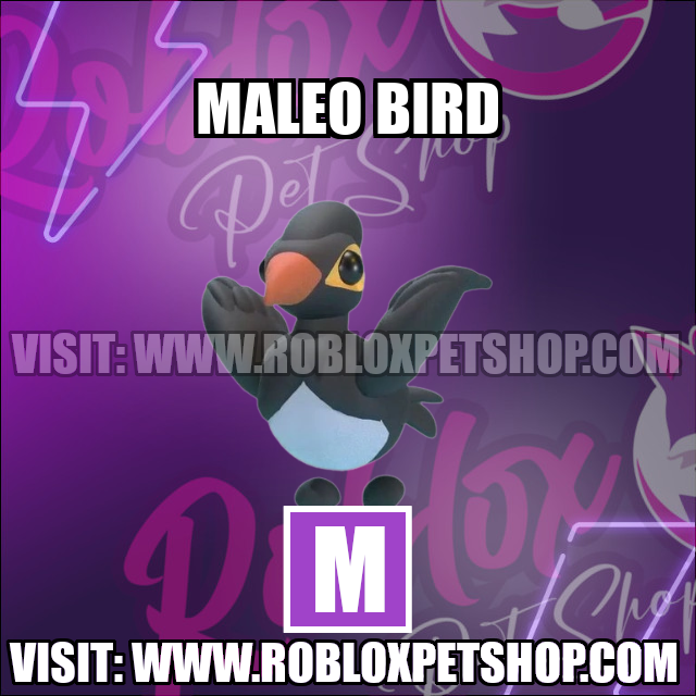 Maleo Bird MEGA Adopt Me