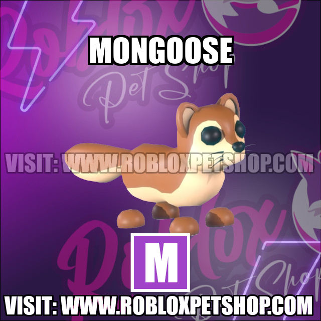 Mongoose MEGA Adopt Me