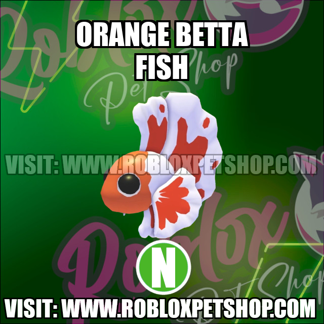 Orange Betta Fish NEON Adopt Me