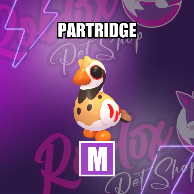 Partridge MEGA Adopt Me