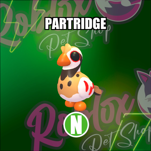 Partridge NEON Adopt Me