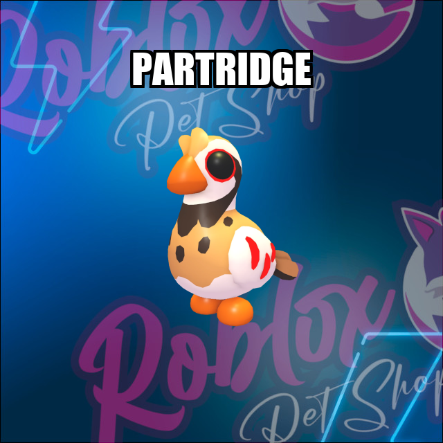 Partridge NO POTION Adopt Me