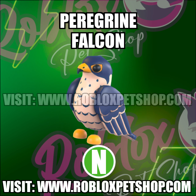 Peregrine Falcon NEON Adopt Me