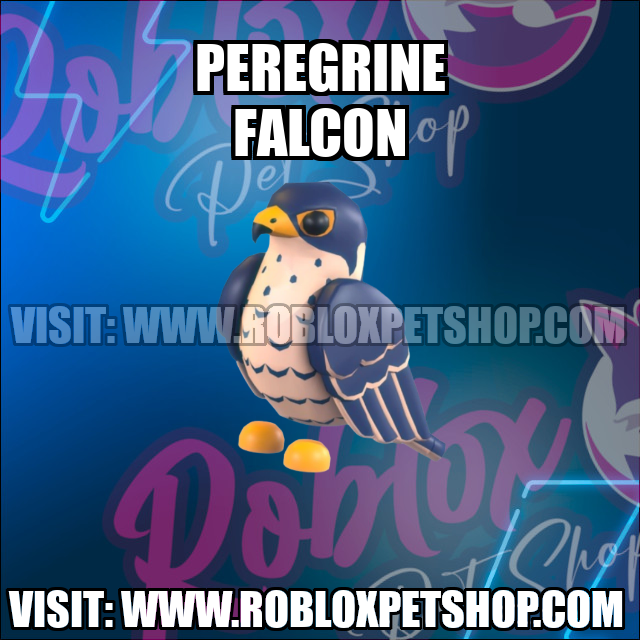 Peregrine Falcon NO POTION Adopt Me