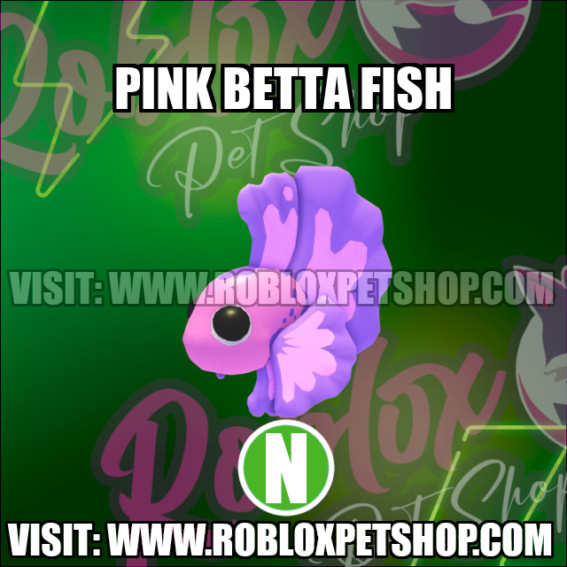 Pink Betta Fish NEON Adopt Me