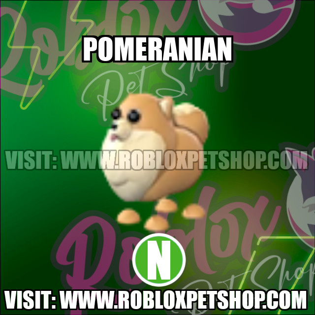 Pomeranian NEON Adopt Me