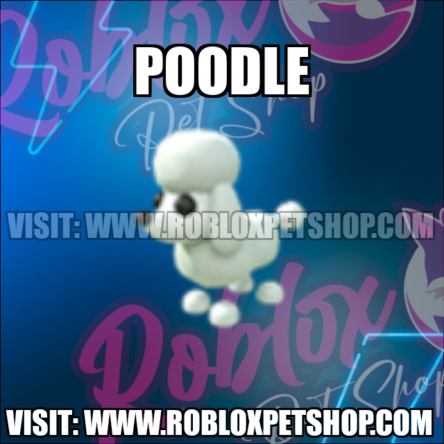 Poodle NO POTION Adopt Me