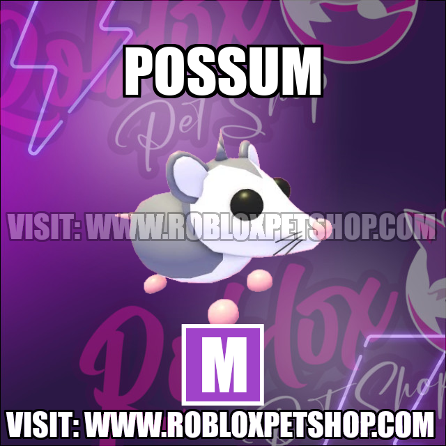 Possum MEGA Adopt Me