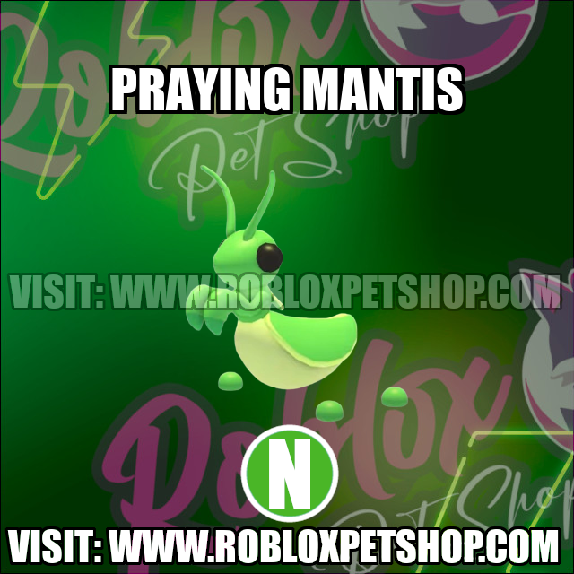 Praying Mantis NEON Adopt Me
