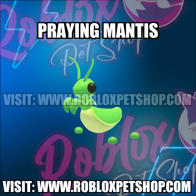 Praying Mantis NO POTION Adopt Me