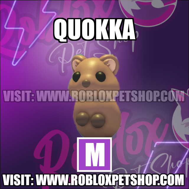 Quokka MEGA Adopt Me