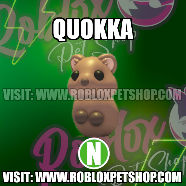 Quokka NEON Adopt Me