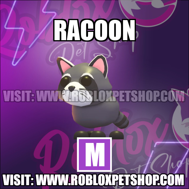 Raccoon MEGA Adopt Me