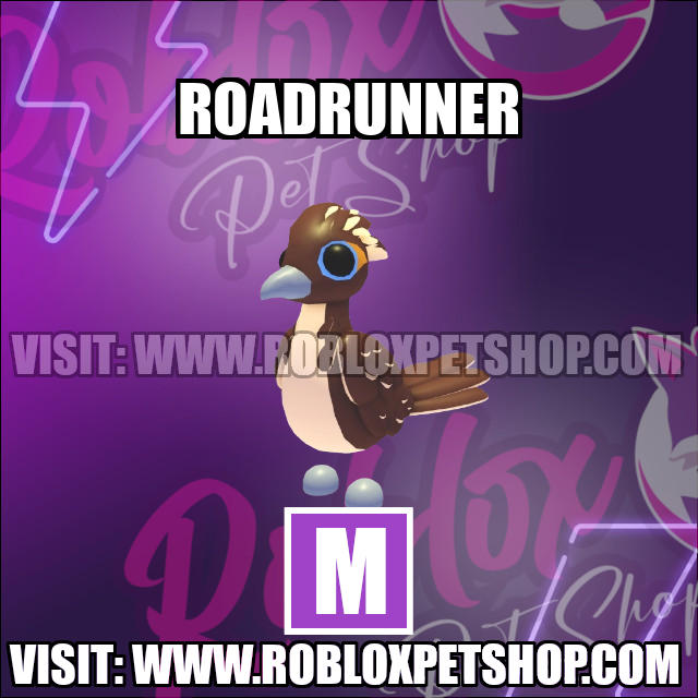 Roadrunner MEGA Adopt Me