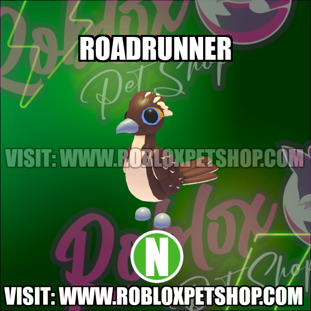 Roadrunner NEON Adopt Me