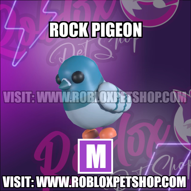 Rock Pigeon MEGA Adopt Me