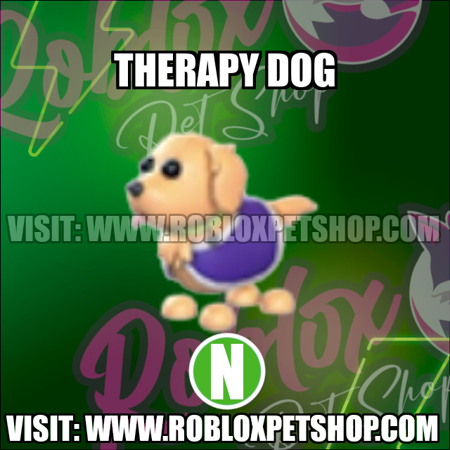 Therapy Dog NEON Adopt Me