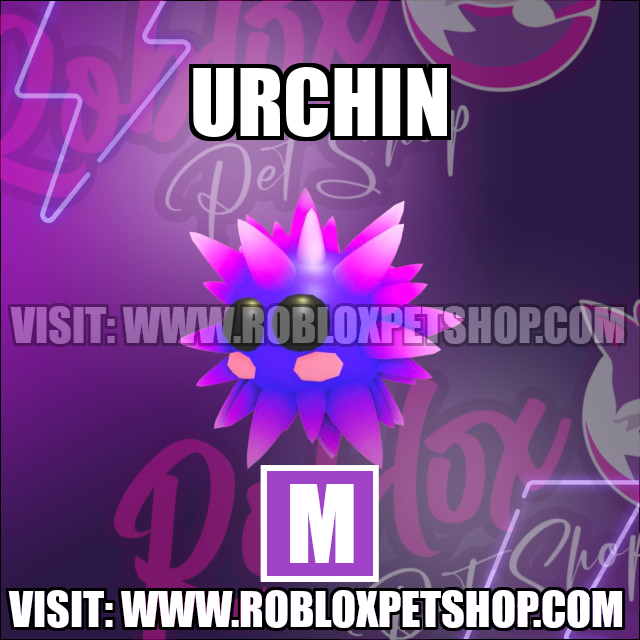 Urchin MEGA Adopt Me