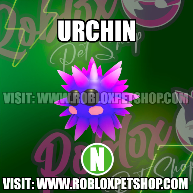 Urchin NEON Adopt Me